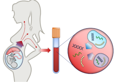 Why is Non-Invasive Prenatal Testing Done?