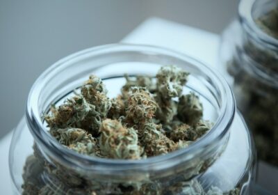 A Newbie’s Guide to Navigating Your First Cannabis Store Visit in Birch Run, MI: Tips from High Society Cannabis