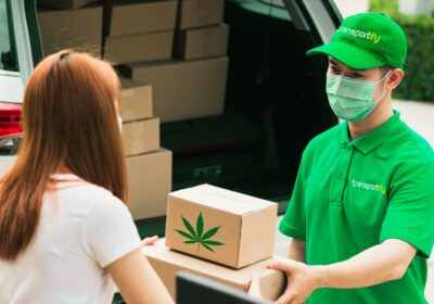 Revolutionizing the Scene: How Local Businesses Are Embracing Cannabis Delivery