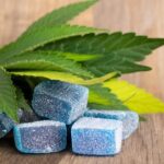 Cannabis Edibles 101: Essential Tips for First-Time Visitors at High Society Cannabis in East Lansing, MI