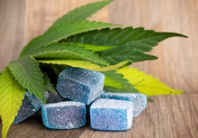 Cannabis Edibles 101: Essential Tips for First-Time Visitors at High Society Cannabis in East Lansing, MI